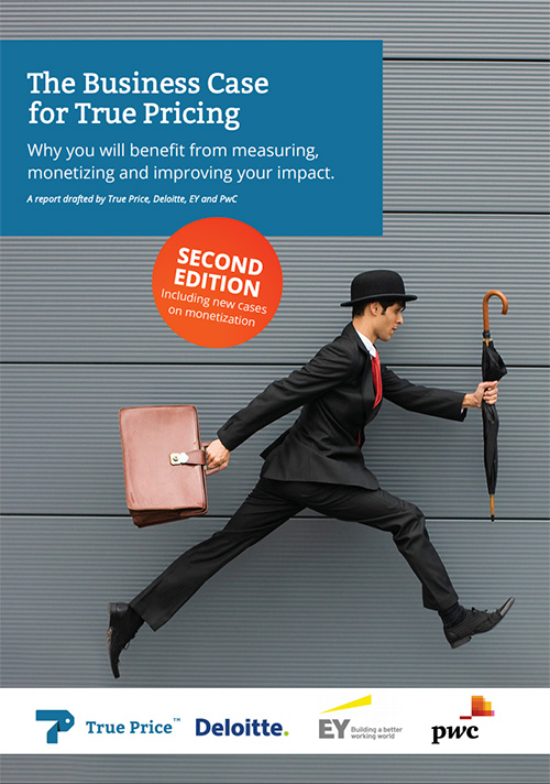 FS08 The Business Case for True Pricing Report