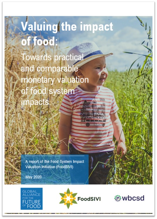 FoodSIVI Report 2020