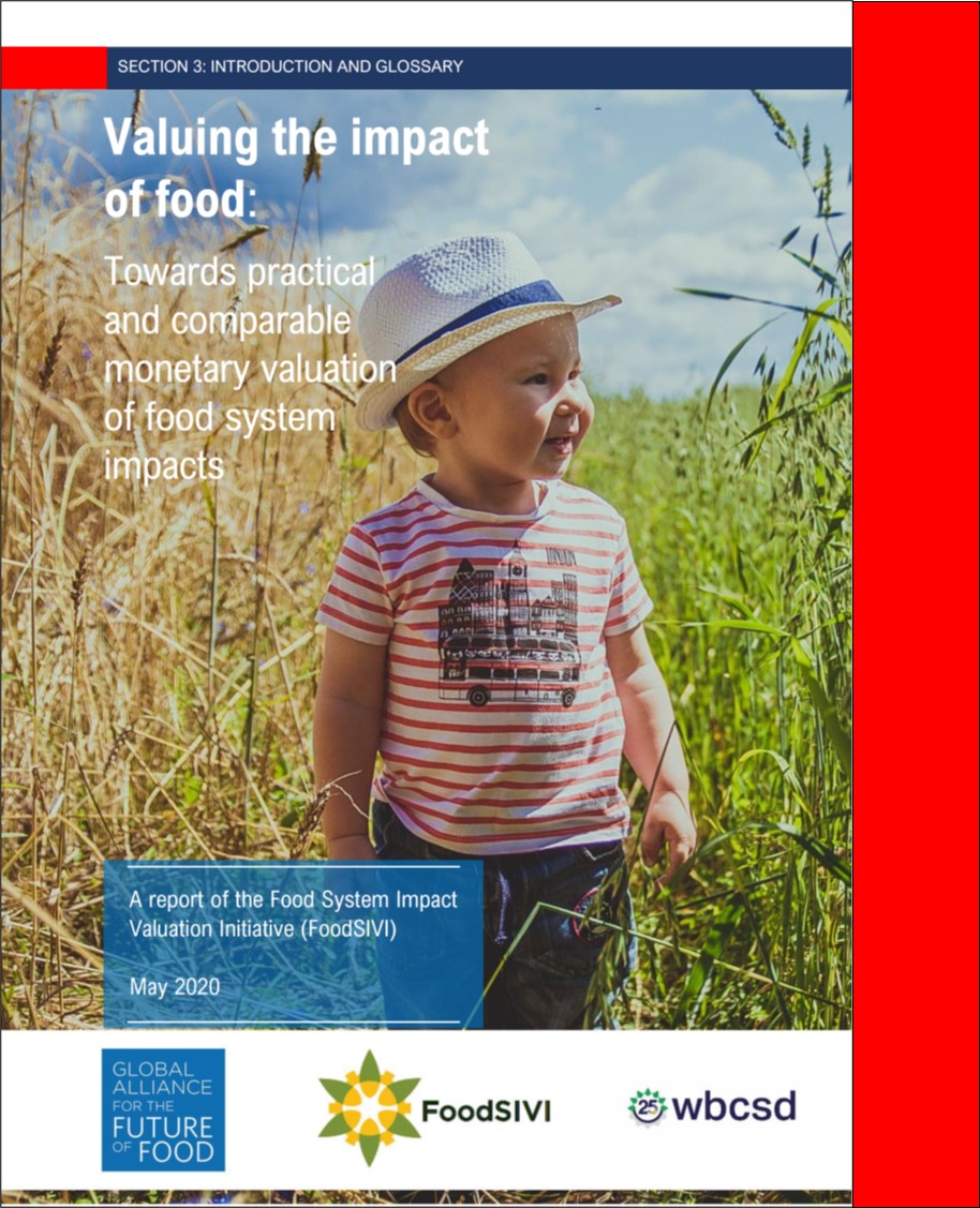 FoodSIVI Report 2020