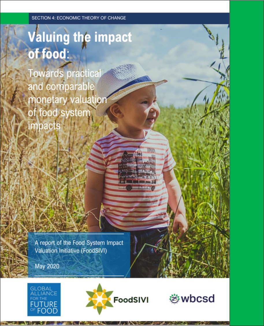 FoodSIVI Report 2020