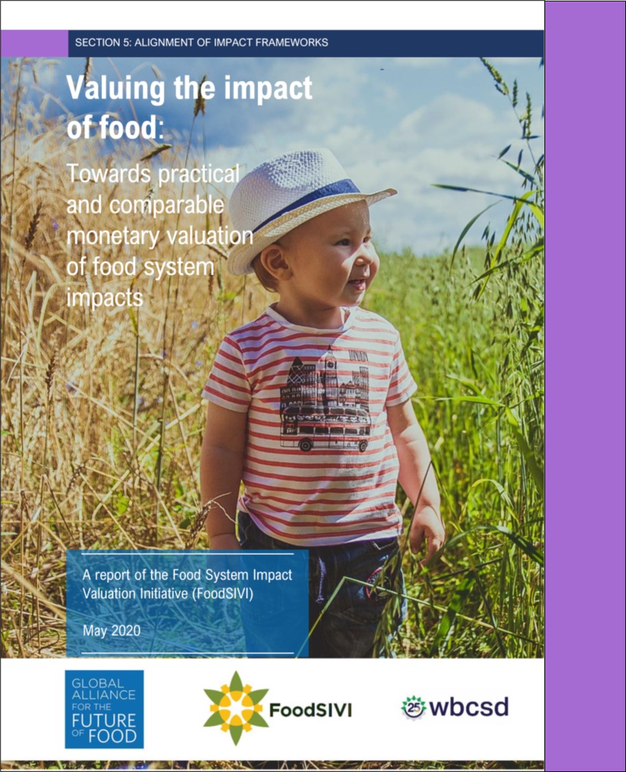FoodSIVI Report 2020
