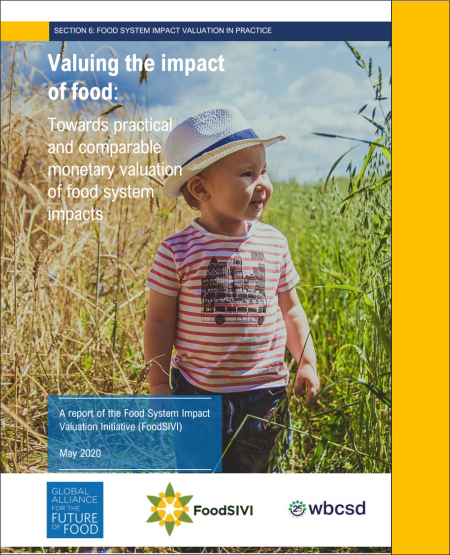 FoodSIVI Report 2020