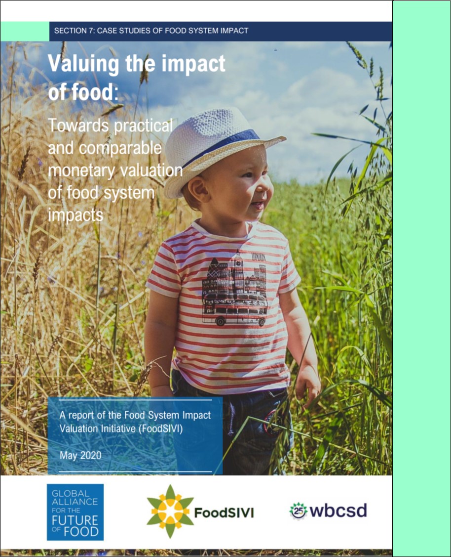 FoodSIVI Report 2020