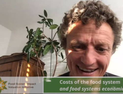 FoodSIVI Webinar on the Costs of the Food System