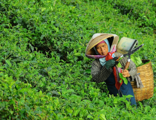 Equity in the food system and multi-capital accounting
